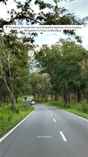 India's Most Beautiful Highway Drive! 🤯 | Bangalore to Ooty via Bandipur Forest 🐘🦌 #ootytrip #ooty