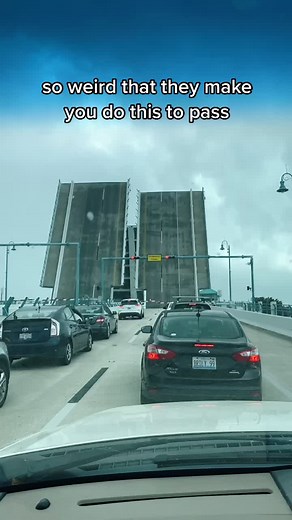 i’m getting tired of drawing all these bridges #florida #fyp