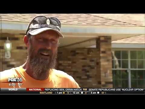 Wolf Spider Invasion