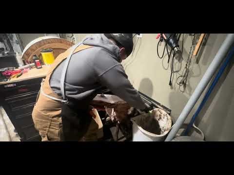 snaring mink | running a mixed bag line | and working up fur