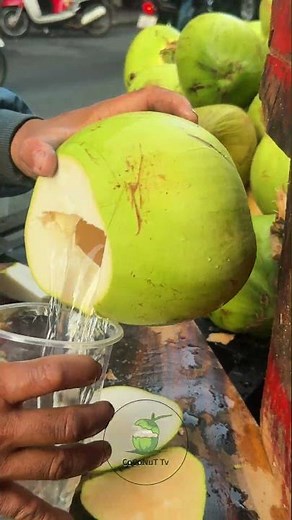Coconut Cutting Techniques The Ultimate Guide to Going Viral