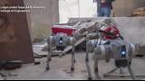 Texas A&M engineering students build robotic, AI-powered dog to help with emergency response