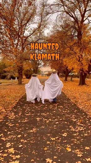 Happy Halloween Klamath!🎃 Still need a spooky adventure this weekend? Capture the spirit of the season and explore some of Klamath’s most haunted and historic hotspots… if you dare 👻 🕰️ Baldwin Hotel Museum 🏫Downtown Klamath 🌲 Moore Park (watch for ghostly whispers by the lake) ⚰️ Linkville Pioneer Cemetery 🎭 The Ross Ragland Theater Tell us your favorite local haunt in Klamath and tag us in your spooky adventures with #DiscoverKlamath! 💀 📍Remember to respect each location’s hours, rules