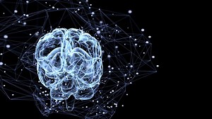 Animation Illustrating Thought Processes In Stock Motion Graphics SBV-306034186 - Storyblocks