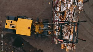 Loader unloads logs from a truck at a sawmill. Logging on an industrial scale. Timber harvesting. Woodworking. Carpentry. Wood Production.