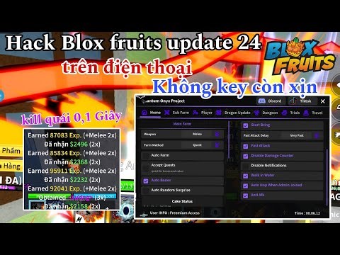 Hướng dẫn Cách Hack Blox Fruits update 24 trên điện thoại mới nhất- script mới nhất hack Blox fruits