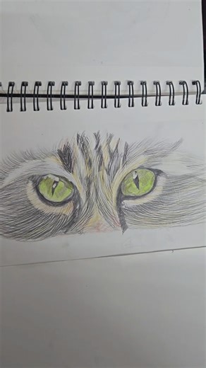 #cateye #greeneyes #pencilcolorart #eyes #cat
