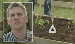 Gardening: Matt James shares his tips for removing weeds