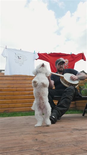 David Harris on Instagram: "Banjo boogie 😂 🪕 🐾"