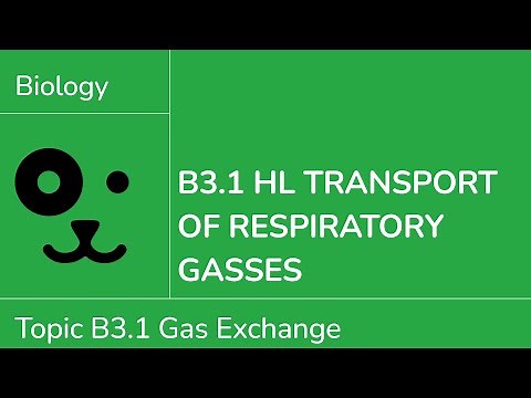 B3.1 HL Transport of Respiratory Gasses [IB Biology HL]