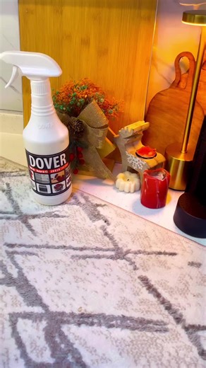 پاککەرەوەی گشتی دۆڤەر