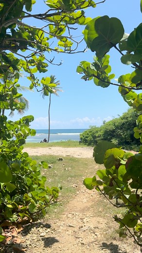 Bois-Jolan à St-Anne …. Une plage restée sauvage 😍🌴☀️ | Love Guadeloupe