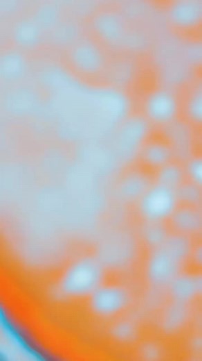 Sips And Bites (@sips.and.bites)’s videos with original sound - Sips And Bites