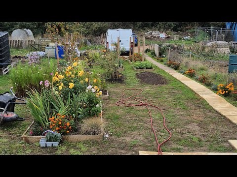 Saturday diy at the allotment #autumnday #weekendjob #justdoit #allotment #merrytiller