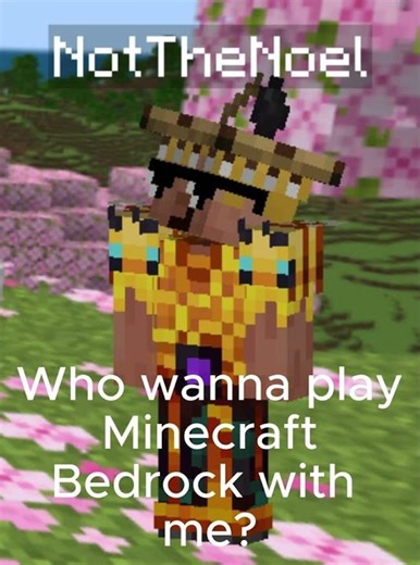 This is my Java and Bedrock edition username.