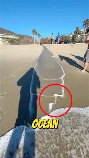 What Happens When a River Meets the Ocean? The Shocking Result! 😱