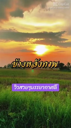 ##วิวสวยๆอากาศดี #ธรรมชาติสวยงามเสมอ💜❤️💚🌺🌸🍀 #สตอรี่ความรู้สึก