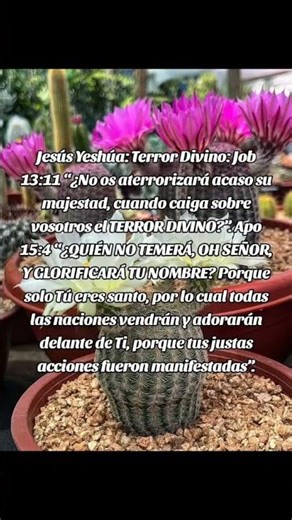Quién Es Jesús