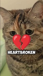 Shampoo Prank Turns Into Total Chaos! 😱