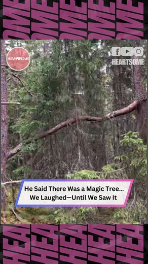 4M views · 94K reactions | They Spent Hours in the Woods… Then Found This Miracle Tree  #magicaltree #raretreediscovery #naturewonders | Heartsome | Facebook