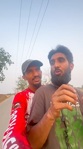 Tobacco tree Pakistan☘️ 🚬🚬🌿 | Alif Mahmud Adib