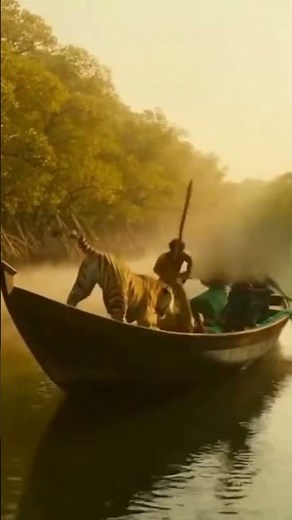 on Camera Recording 🐅 Tiger Attack on Fisherman Sundarban Boat 🌊#tiger