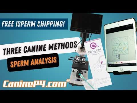 Top 4 Canine Sperm Analysis Testing
