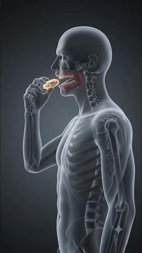 See How Your Body Actually Digests Food #science #animation