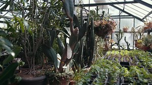 3 comments | Here's just a little preview of the Western Kentucky Botanical Garden. Head out to the garden next week to catch the Dazzling Daylilies Festival! Different events each day of the 10 day festival! | Visit Owensboro | Facebook