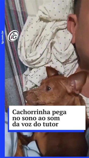 Em Fortaleza (CE), Eudes Roberio descobriu um talento especial para acalmar sua cachorrinha. No vídeo, ele canta para a companheira de quatro patas, que aos poucos vai fechando os olhinhos, relaxando o corpo e ficando completamente molinha até finalmente cair no sono. A cena encantou pela delicadeza e pela conexão entre tutor e pet. 🔗 Veja as notícias do iG e acesse o canal do WhatsApp no link da bio 📲 📹 @vanallenaliien | @dommedia.br #iG