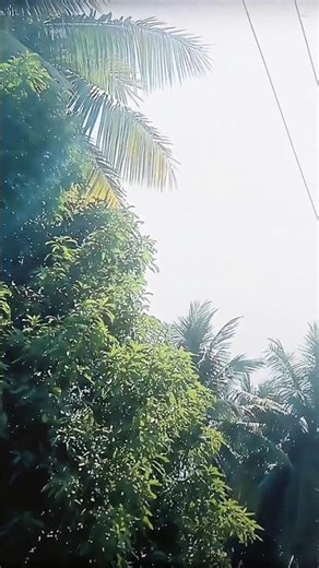 Why everyone's sharing this #viralshorts #fyp #shorts