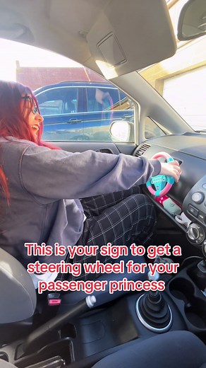 Steering Wheel Gifts for Passenger Princesses