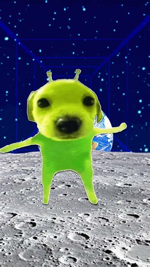 "I lost that alien chip give it back" type shi ✌️😆