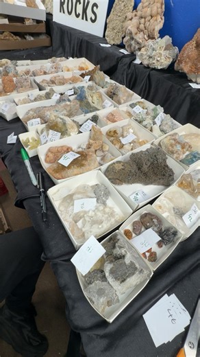 LIVE February 3rd! | The Crystal Collector