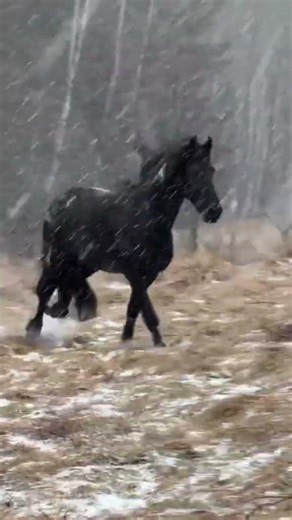 How to Analyze Text & Create YouTube Titles: Pro Tips