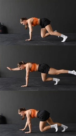 Animal moves Strength & Mobility moves