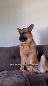 Tried Her Best to Resist the Fun