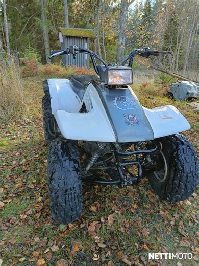 Yamaha Breeze 125 cm³ 2001 - Inkoo - Mönkijä - Nettimoto