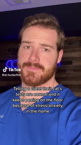 Understanding Cat Peeing Behavior: Causes and Solutions