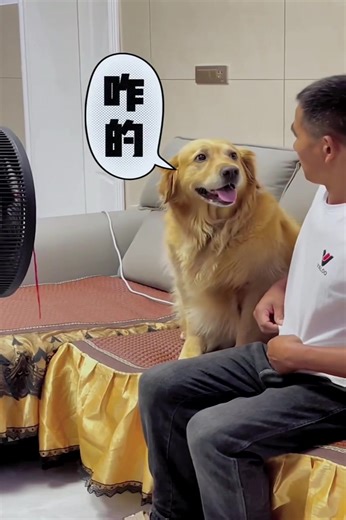 13K views · 664 reactions | Fighting for Fans | DOG LOVER | Facebook