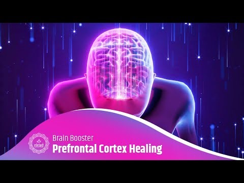 Brain Booster: Therapeutic Sounds for Prefrontal Cortex Healing & Relaxation | Binaural Waves