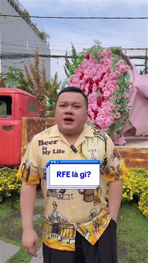 RFE là gì? #thànhnguyễnchuyệnvisa #visa #RFE #hônphuhônthê #thẻxanh | working holiday visa