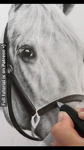 32K views · 714 reactions | When drawing lighter coated animals like this horse, it's really important to layer the graphite correctly. I am always a little cautious at the base stage to not go to dark but it's about getting the balance right because if the base layer isn't dark enough the portrait will lack depth. I find it's therefore best to build up the values gradually. - - - 8" x 12" Reference photo: Helena Lopes from Unsplash | Zara's Pet Portraits & Wildlife Art | Facebook