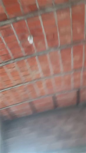 #famous #Viral #fyppp #🔥🔥🔥 @🦈TJ_jose🦈 @Soy Jose Martínez🏜️🔥