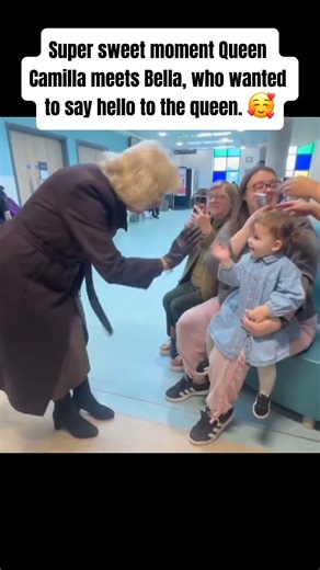 Super sweet moment Queen Camilla meets Bella, who wanted to say hello to the queen #royalfamily #princesscatherine #kingcharles #unitedkingdom #us #usa #trending #viral #princessdiana #princewilliam #princeharry #katemiddleton #queenelizabeth #queencarmila #princelouis #princegeorge #princesscharlotte | Royal Family British