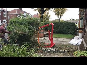Remove Hedge Using Engine Hoist