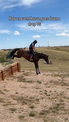 Horsemanship / Amy Bowers on Instagram: "Both are good! These horses have different jobs and need to do things differently than the other. #horsegirl"