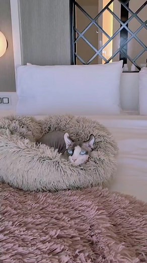 captainkatemccue on TikTok