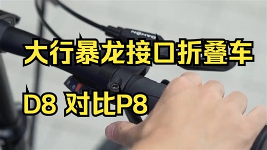 大行暴龙接口折叠车D8 对比P8，你会选择D8吗？