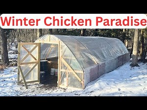 Tour of My Winter Chicken Coop. More Eggs. Healthier Hens